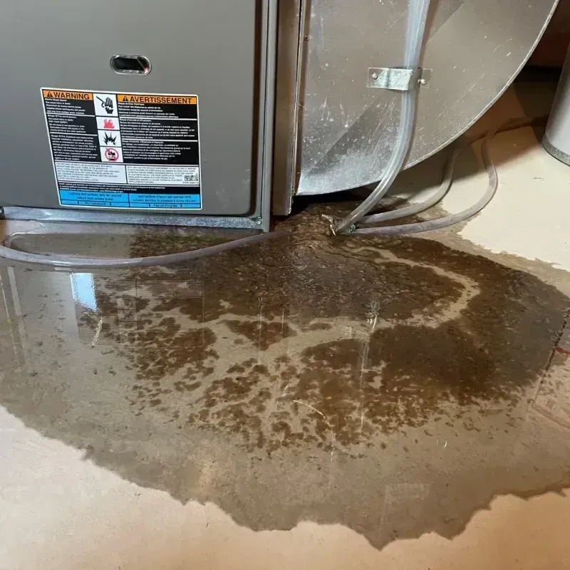 Appliance Leak Cleanup in University Park, TX